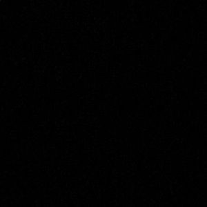 Meet your Posher, Pavan